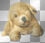 Funny Cute Puppy Dog Wink__