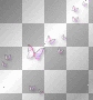 Butterflies overlay pink