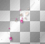 Flowers pink