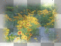 MELBA FLOWER SPRING / AMON MELBA FLOWER SPRING / AMON