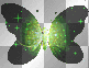Green Starry Butterfly__ Green Starry Butterfly__