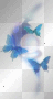 Blue butterfly