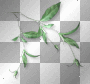 Leaves green