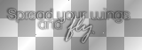 Spread your wings and fly (white and black transparent quote) [nermai]