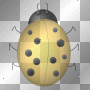 Kerstie: Yellow Ladybird 