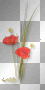 Flowers poppies red