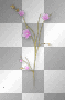 Flowers pink