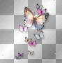 Butterflies pink orange fantasy
