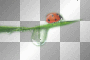 amon // ladybug