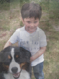 boy and dog