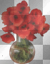 poppy
