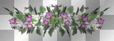 purple flower