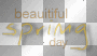 soave text spring day orange soave text spring day orange