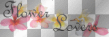 soave text flower lovers deco