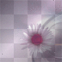 Background,animated,boutique,fairyirish04-boutique 