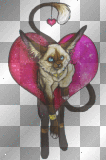 Love kitty
