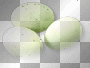 Eggs green