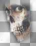 skull ludmilla1959