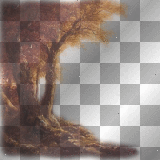 autumn tree image dubravka