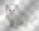 cat ludmilla1959         