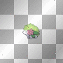 Shaymin Land Form Animated
