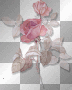 транс ivk flowers