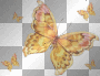 MELBA BUTTERFLY MELBA BUTTERFLY