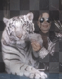 Michael Jackson & White Tiger!!LW