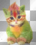 cat color