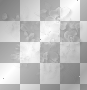 Flowers overlay