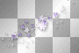 Flowers overlay