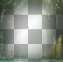 Forest frame,fantasy.