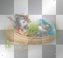 amon // fantasy cats