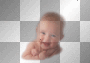 baby (thessa) baby (thessa)