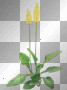 Spring summer flowers yellow green leaves Spring summer flowers yellow green leaves