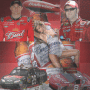 budweiser fan
