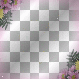 pink yellow border frame ' transparent