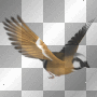 SPRING SUMMER FANTASY BIRD