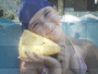 queso