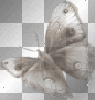 vintage deco ludmilla1959