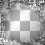 Fantasy forest,black'white. Fantasy forest,black'white.