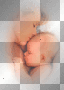 mother baby cute animated [1ֆ]