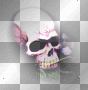 Skull Skull