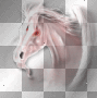 Horse fantasy