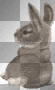 BUNNY HASE FOREST ANIMATED anuschkatim BUNNY HASE FOREST ANIMATED anuschkatim