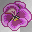 MELBA FLOWER PINK