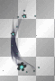 Flowers overlay Flowers overlay