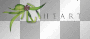 Heart word text wordart 