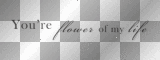 you´re flowers of my life