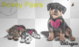 Pokey Paws
